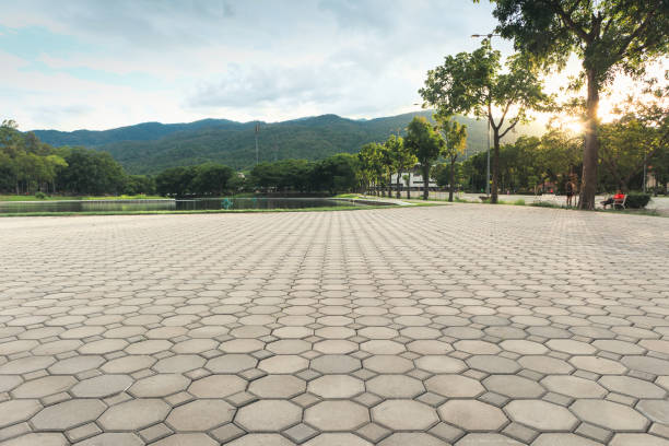 Best Driveway Repair Near Me  in Nitro, WV